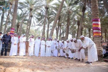 غرفة القصيم. مهرجان بريدة للتمور ظاهرة اقتصادية و سياحية متميزة على خريطة المملكة..